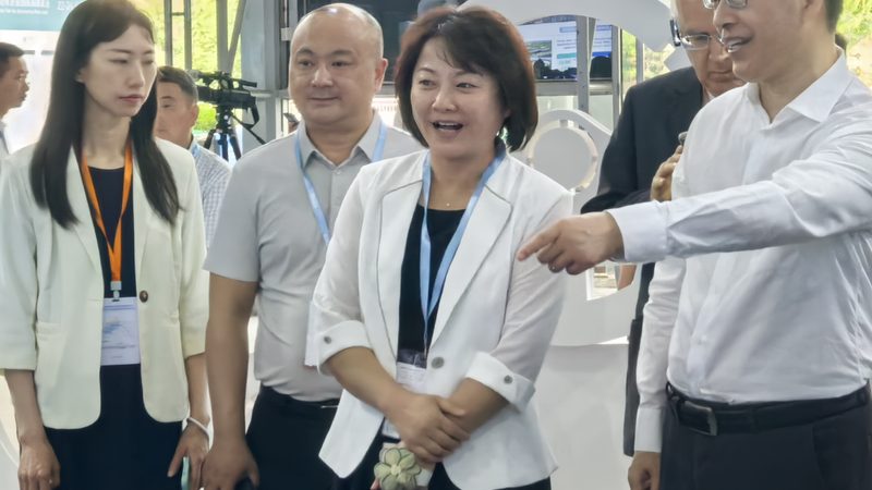 新能源汽车零部件生产厂家推荐：如何挑选优质供应商